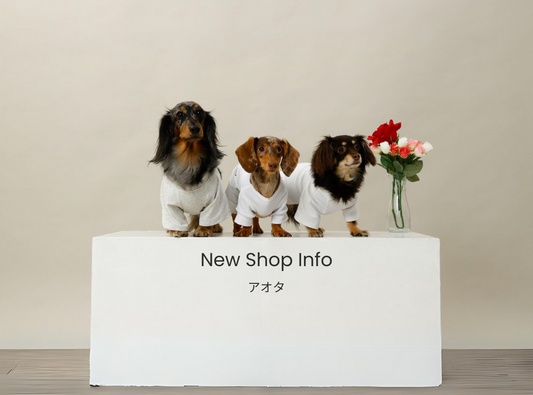 New Shop Info アオタ