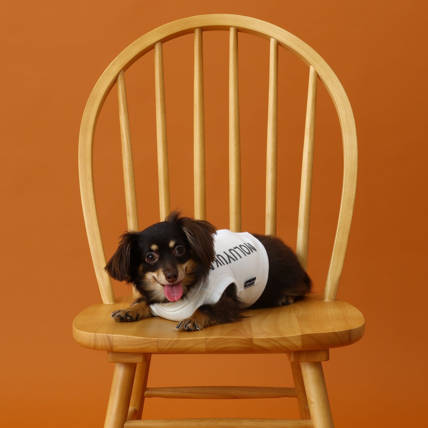 プレミアムスキンケアタンクトップ for pets