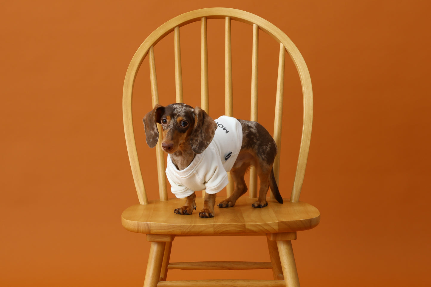 プレミアムスキンケアスウェット for pets
