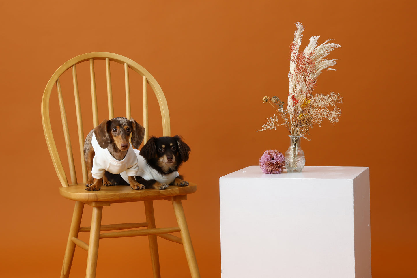 プレミアムスキンケアタンクトップ for pets