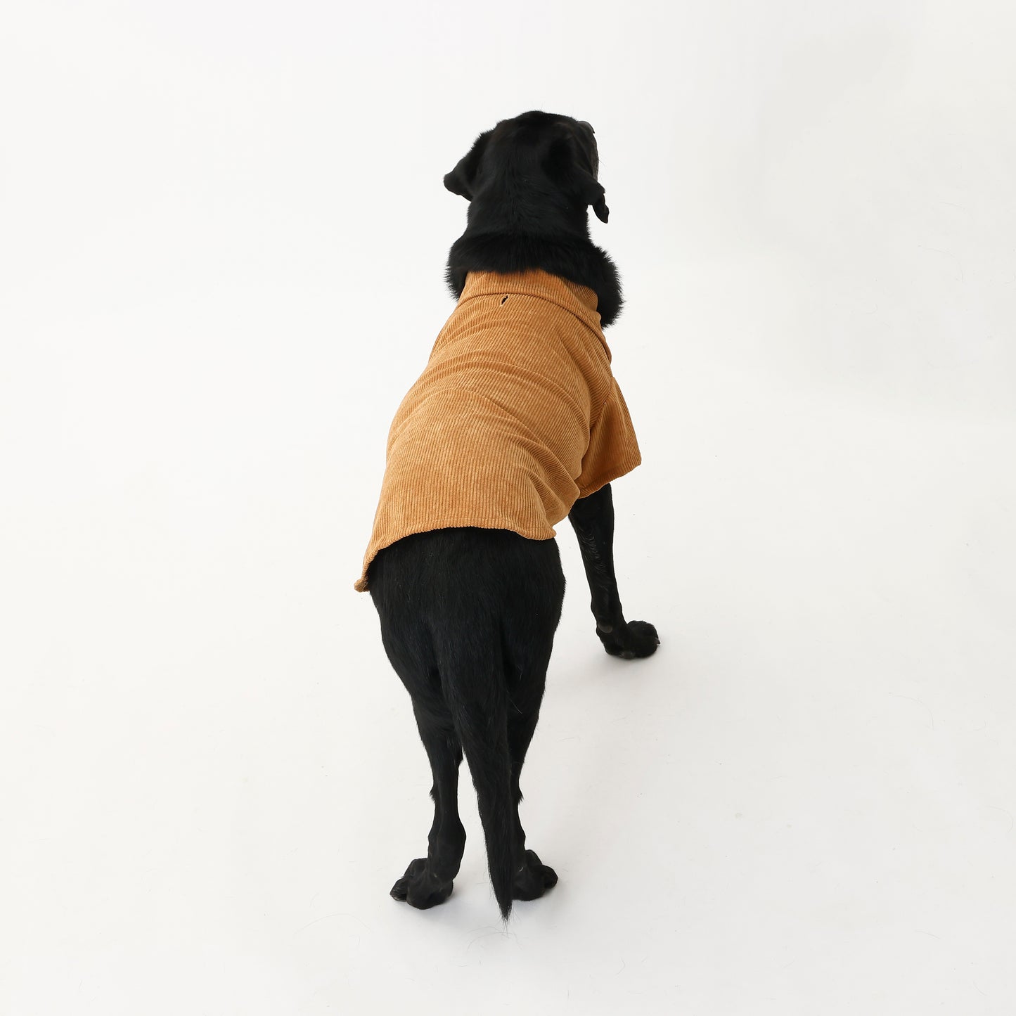 MOLUYUKA コーデュロイシャツ for pets