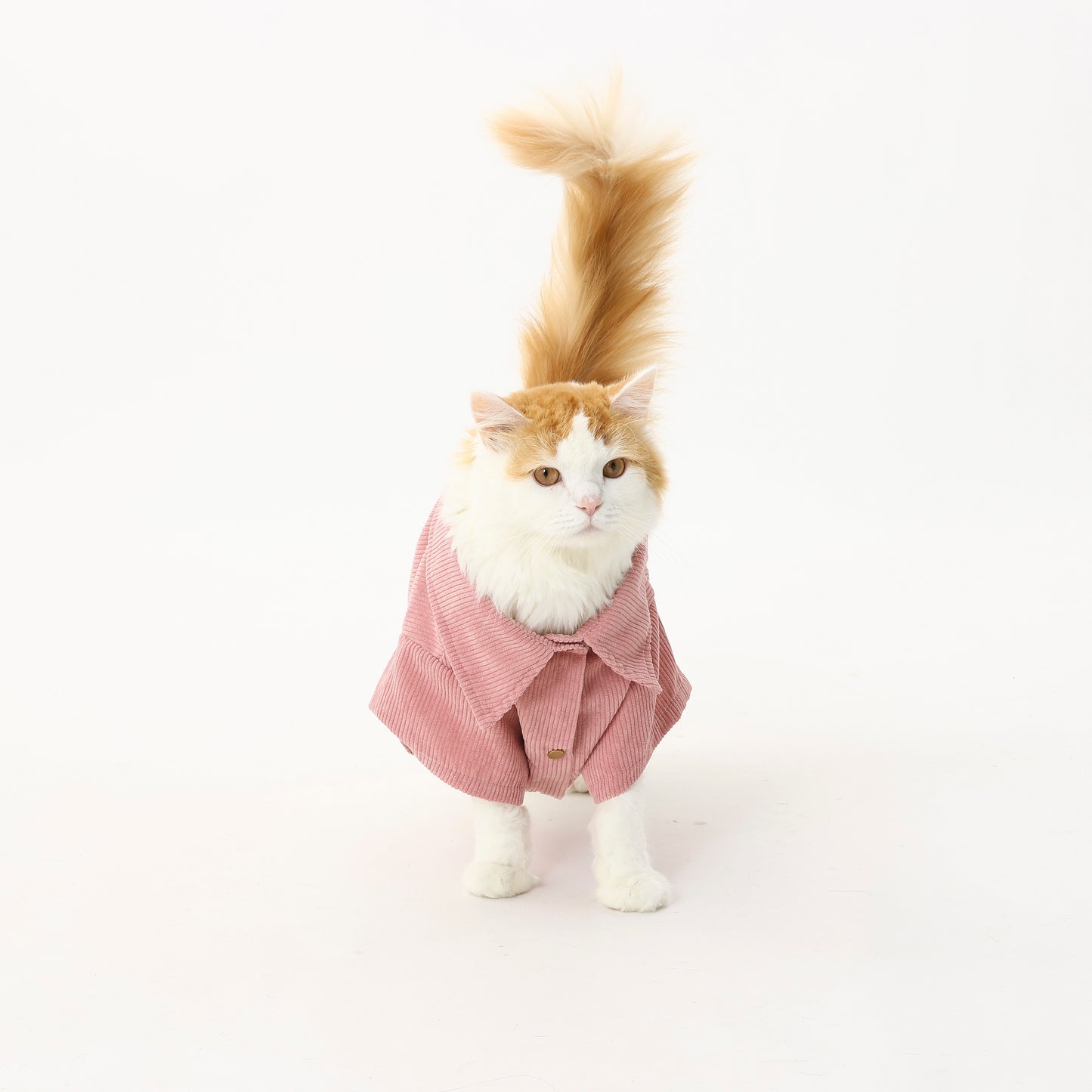 MOLUYUKA コーデュロイシャツ for pets