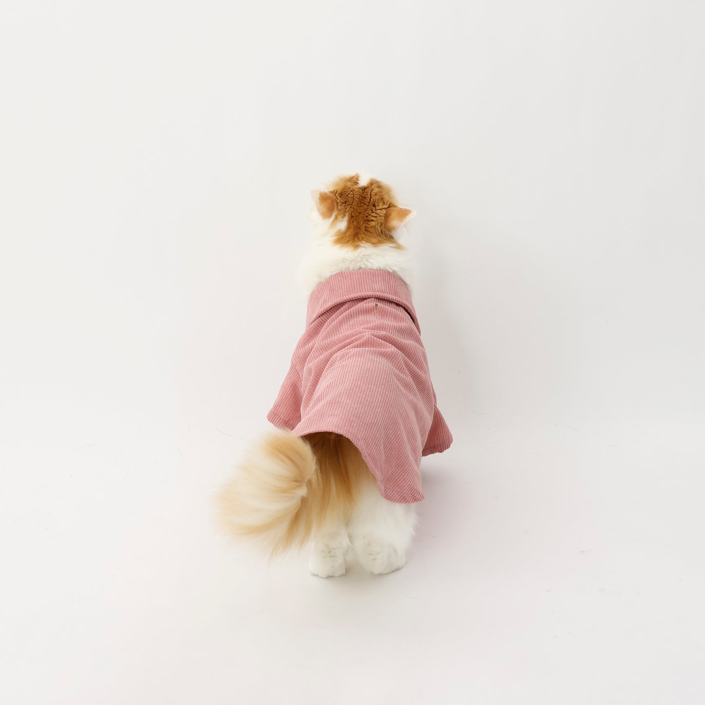 MOLUYUKA コーデュロイシャツ for pets