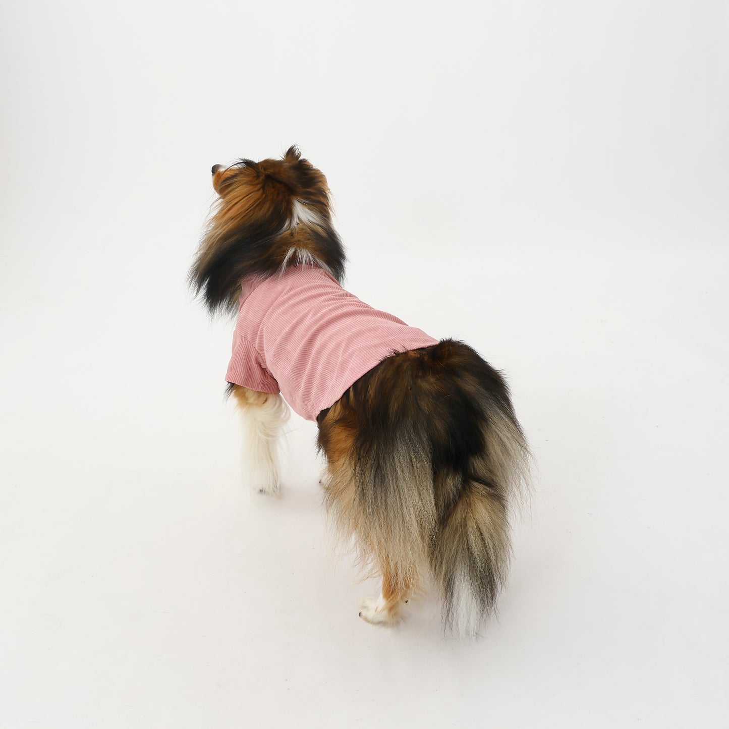 MOLUYUKA コーデュロイシャツ for pets
