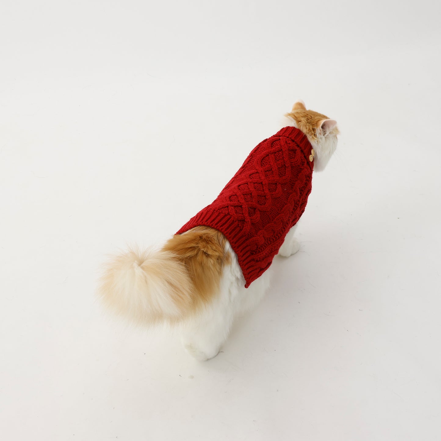 Knitted sweaters for pets