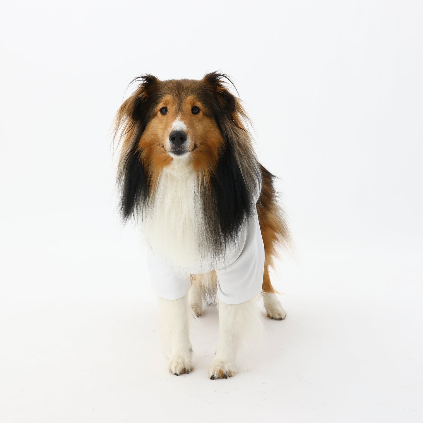 プレミアムスキンケア Tシャツ for pets