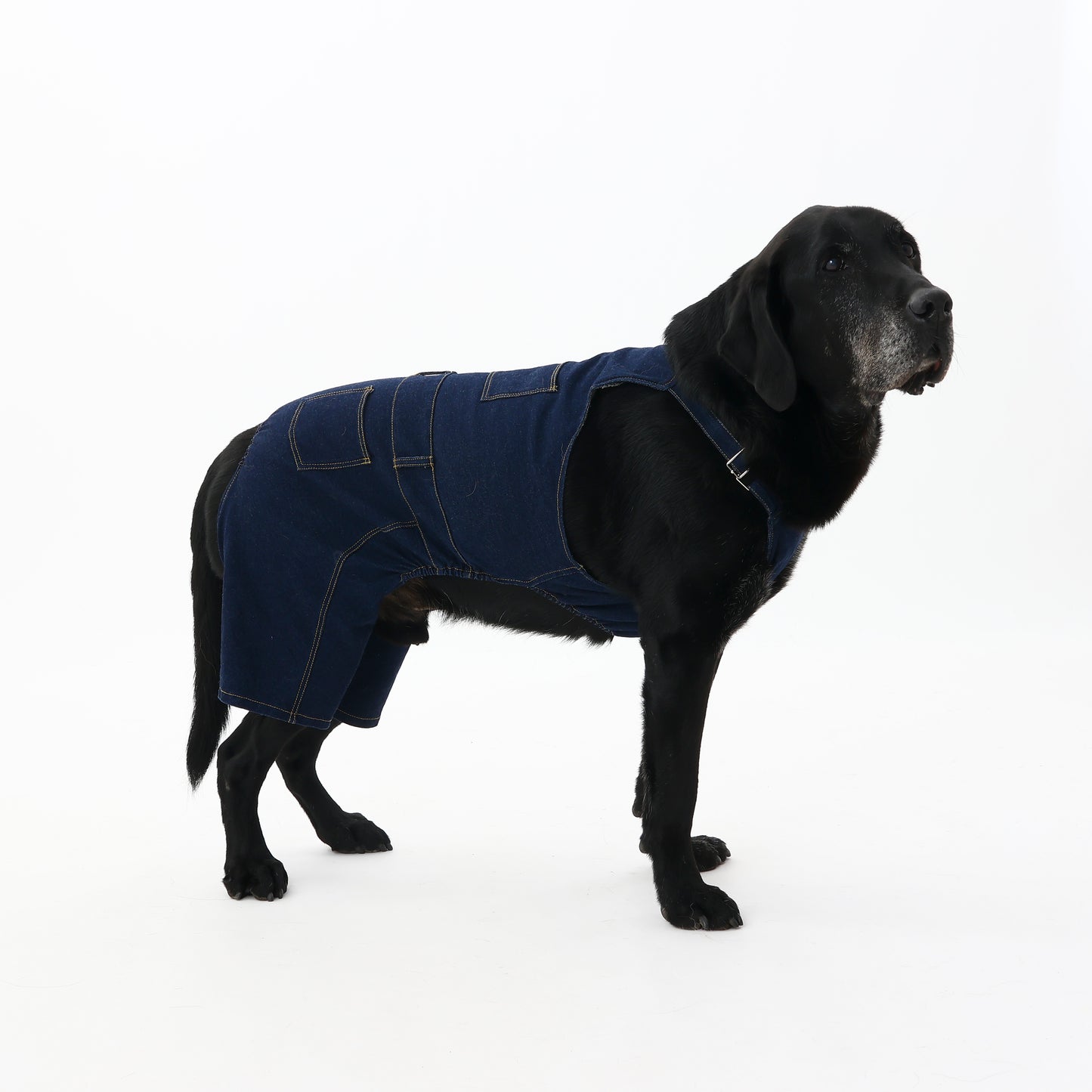 プレミアムスキンケア デニムオーバーオール for pets