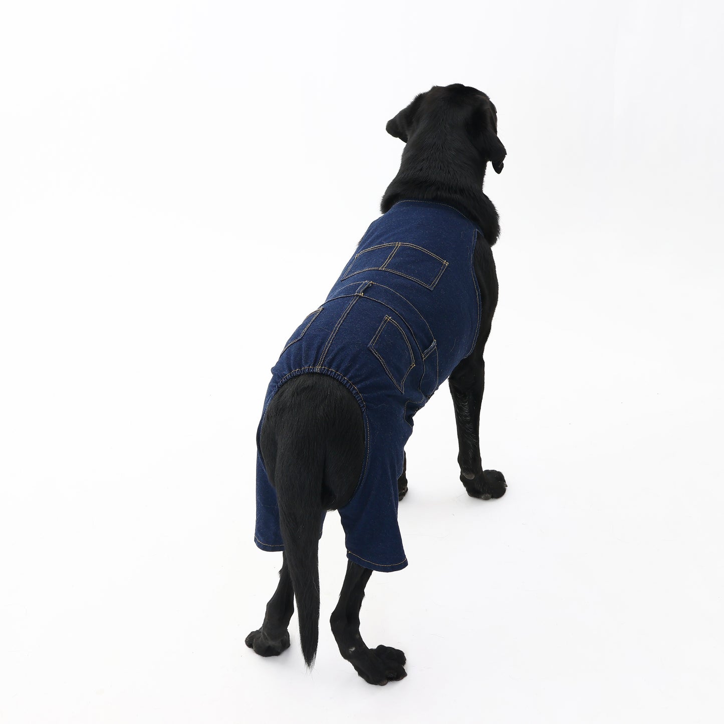 プレミアムスキンケア デニムオーバーオール for pets