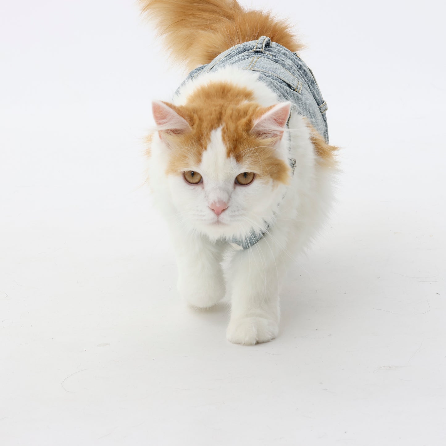 プレミアムスキンケア デニムオーバーオール for pets
