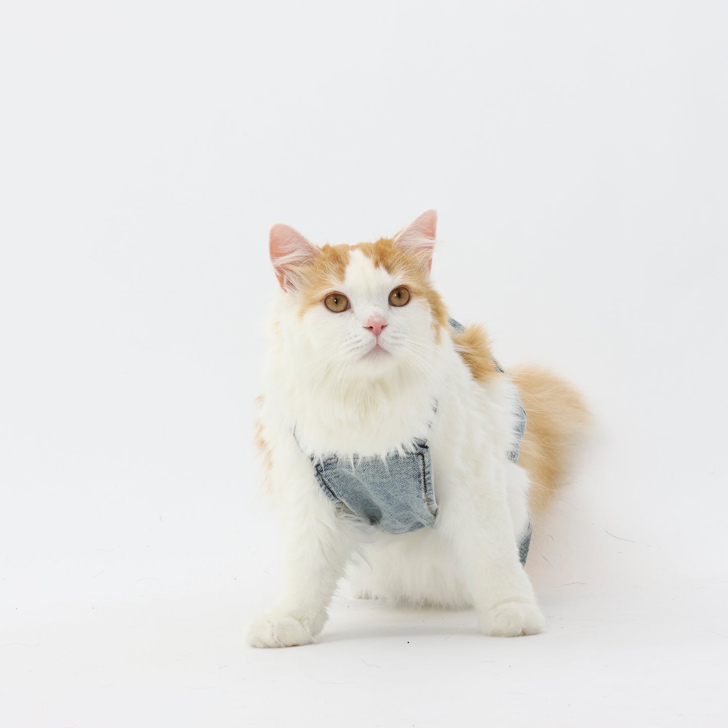 プレミアムスキンケア デニムオーバーオール for pets