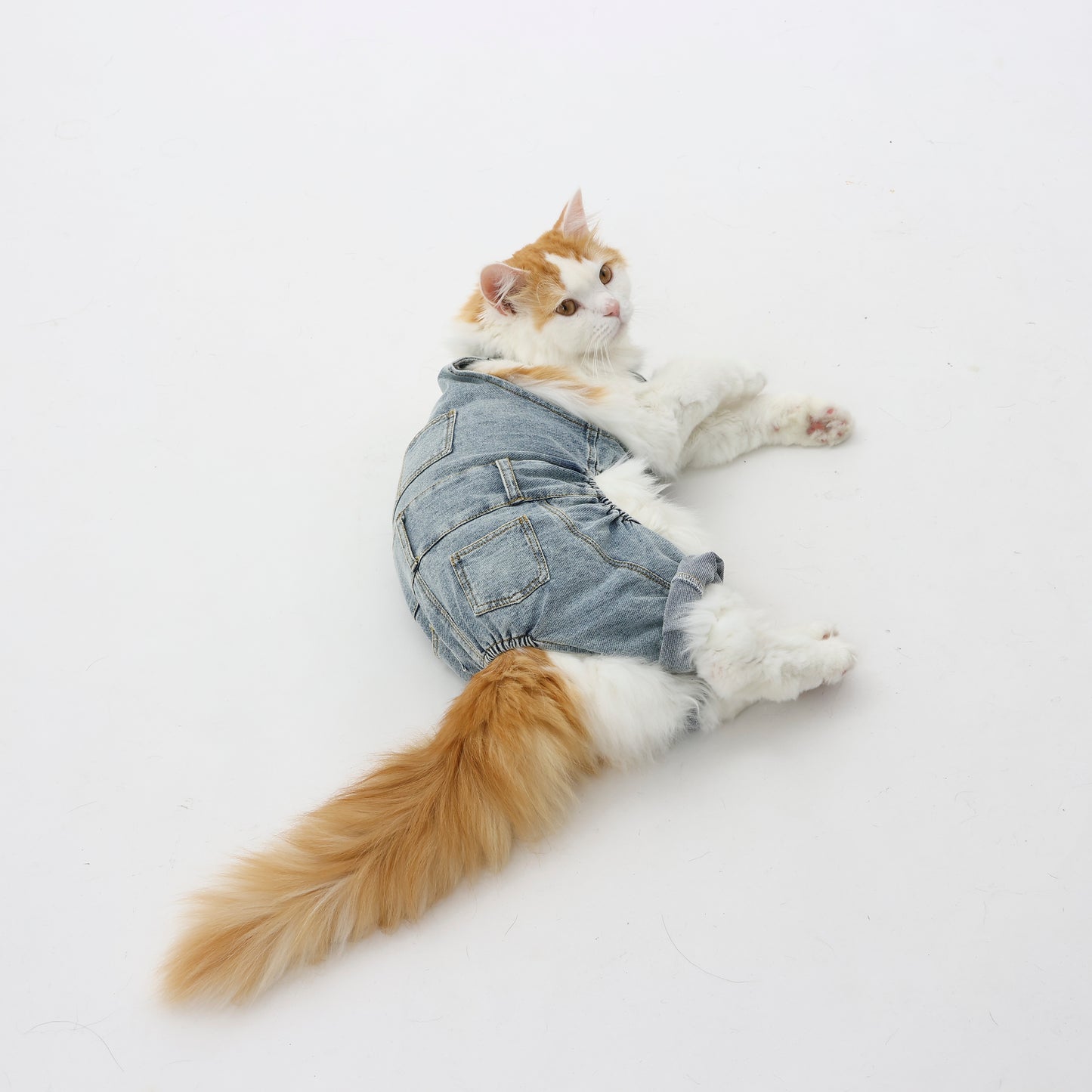 プレミアムスキンケア デニムオーバーオール for pets