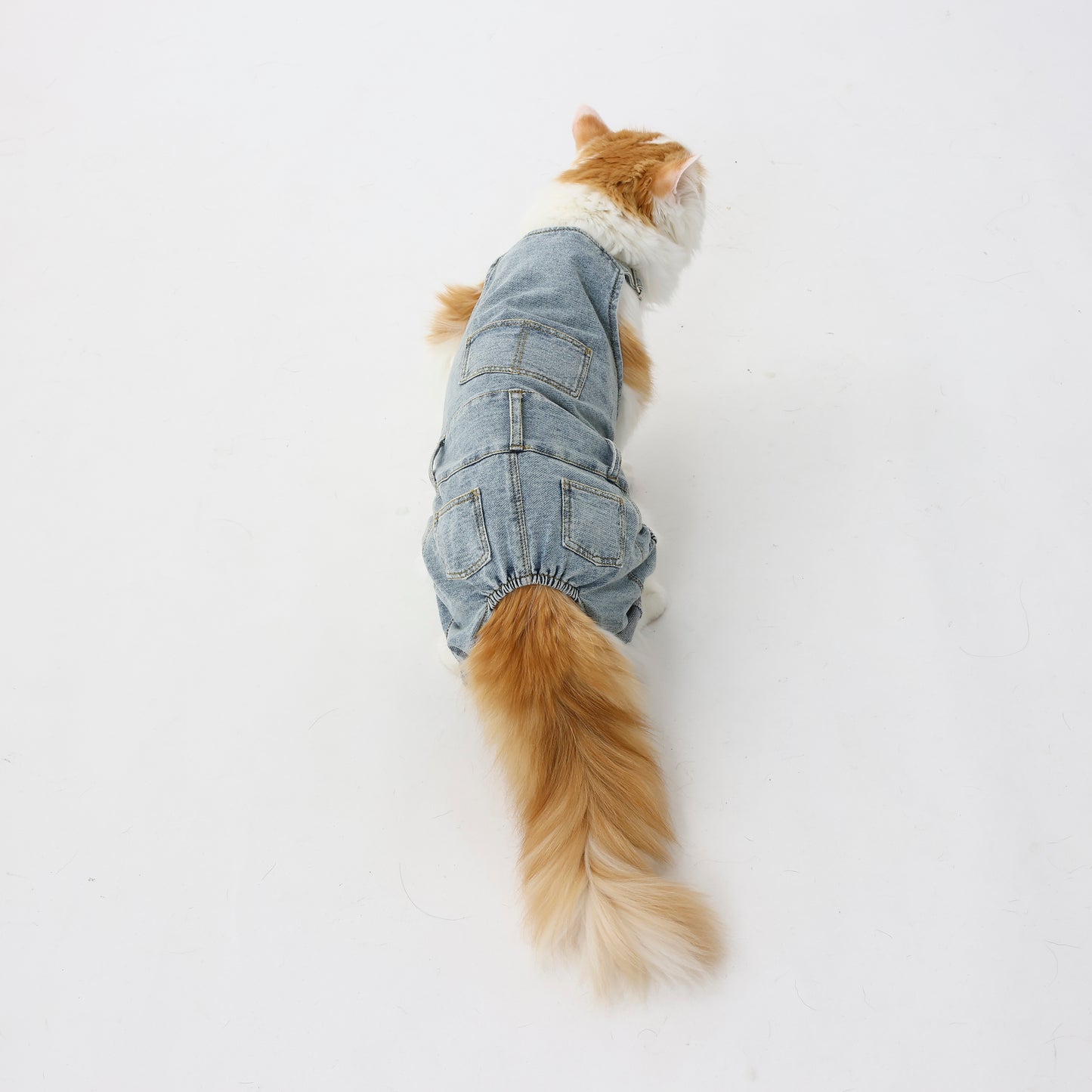 プレミアムスキンケア デニムオーバーオール for pets