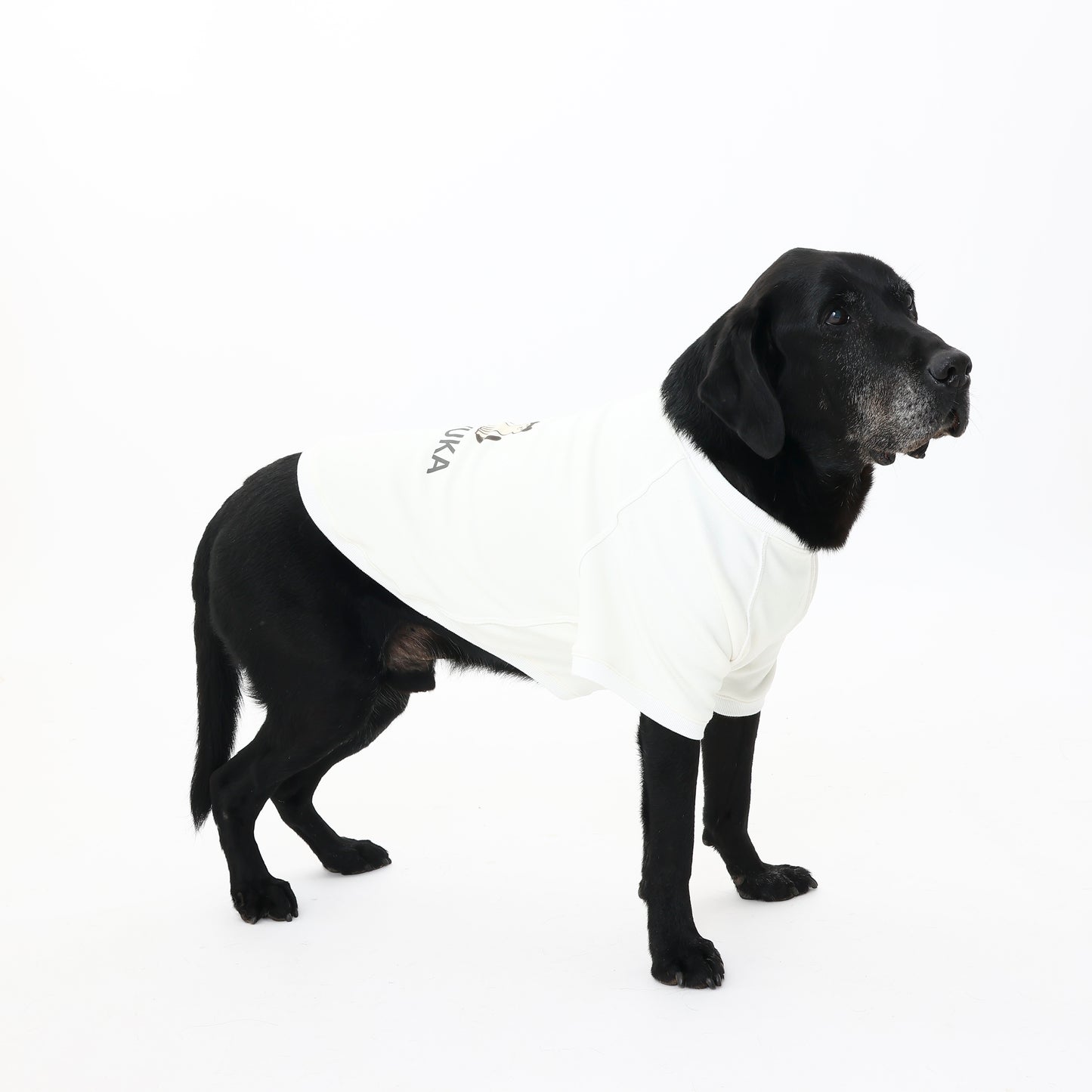 プレミアムスキンケアスウェット for pets