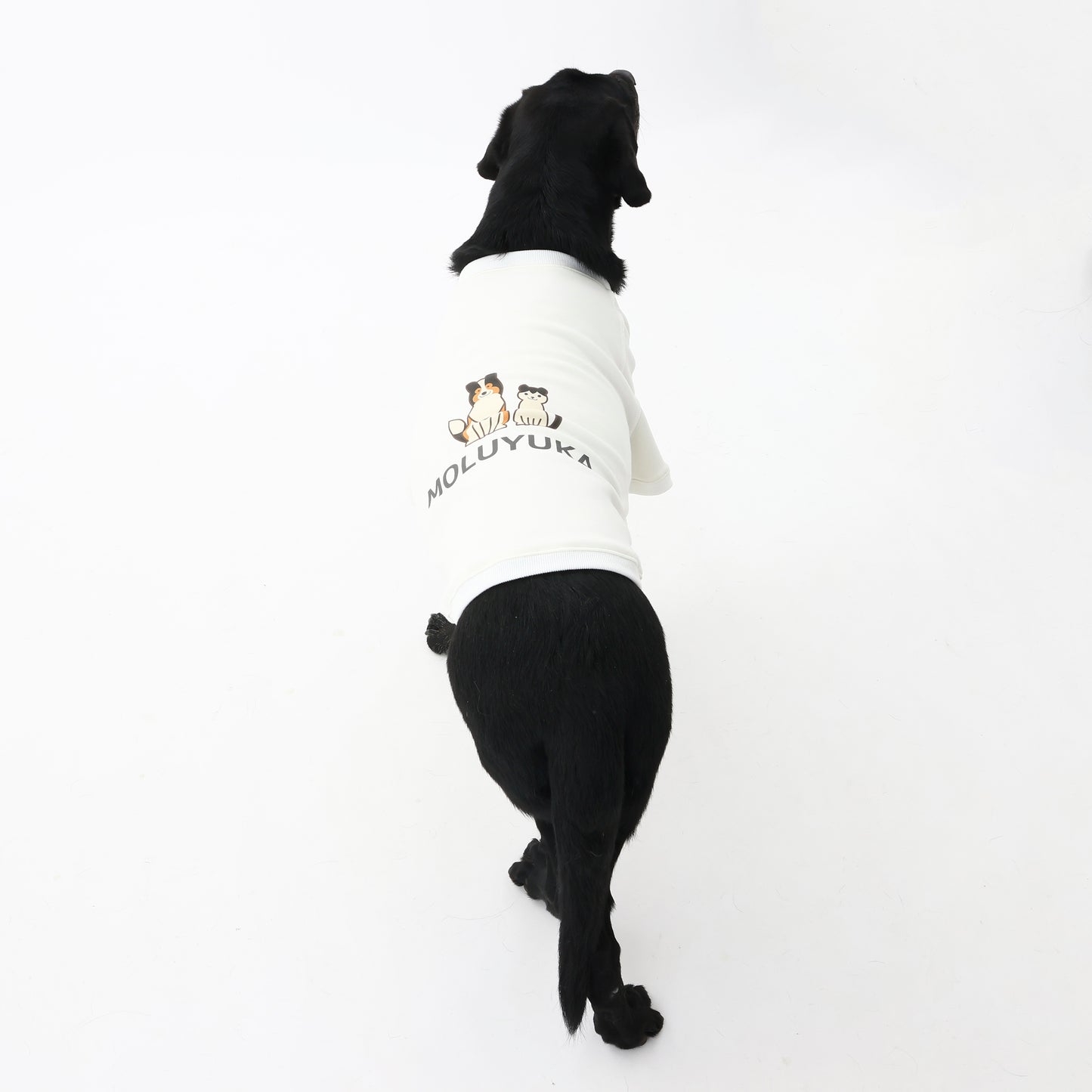 プレミアムスキンケアスウェット for pets