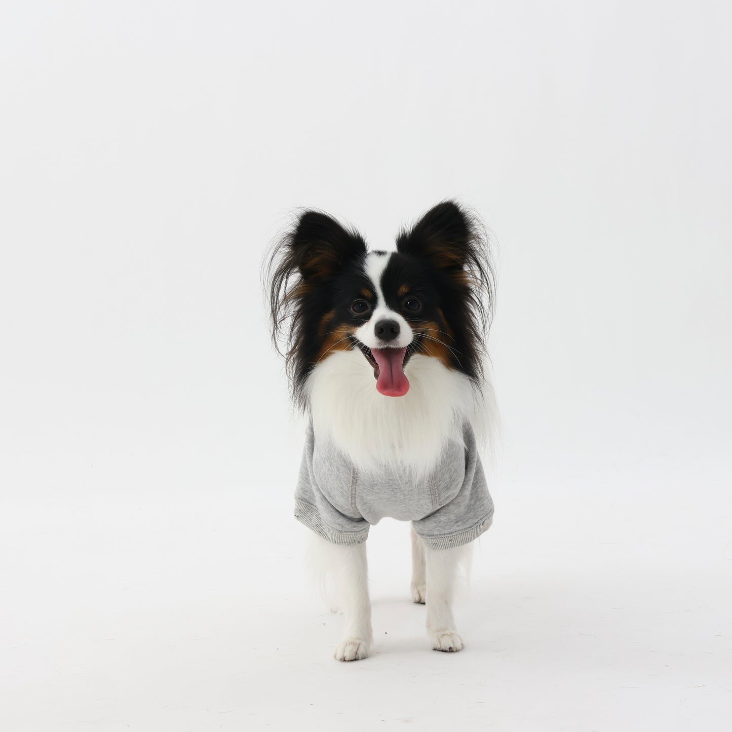 プレミアムスキンケアスウェット for pets