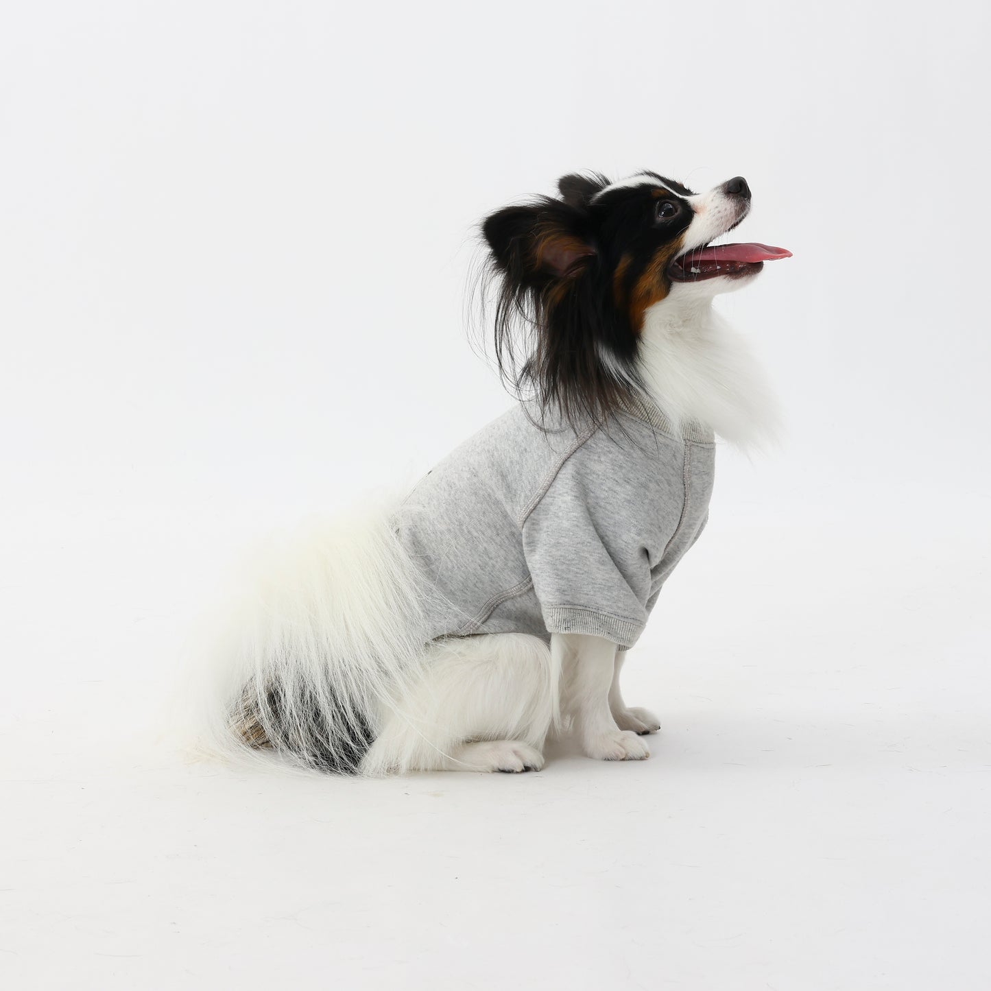 プレミアムスキンケアスウェット for pets