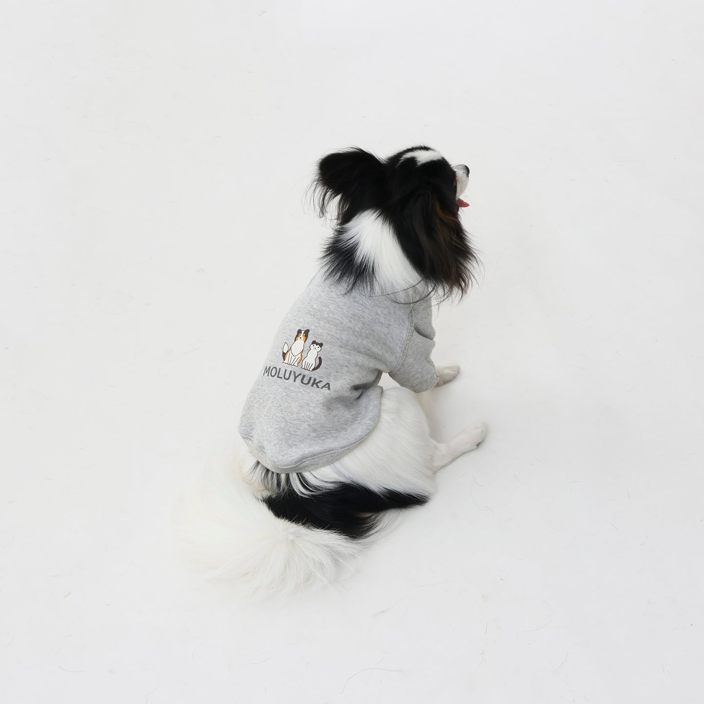 プレミアムスキンケアスウェット for pets