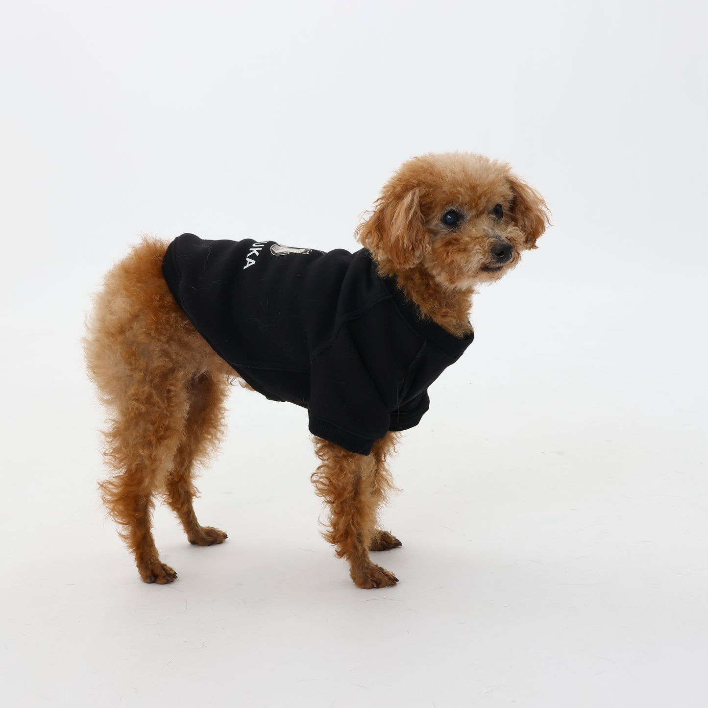 プレミアムスキンケアスウェット for pets
