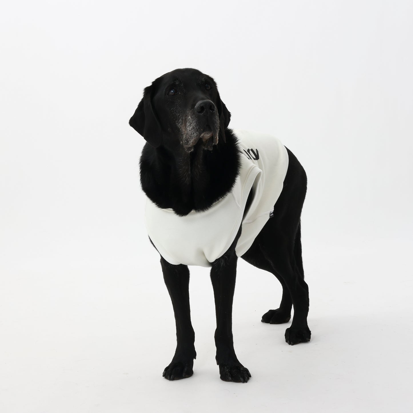 プレミアムスキンケアタンクトップ for pets