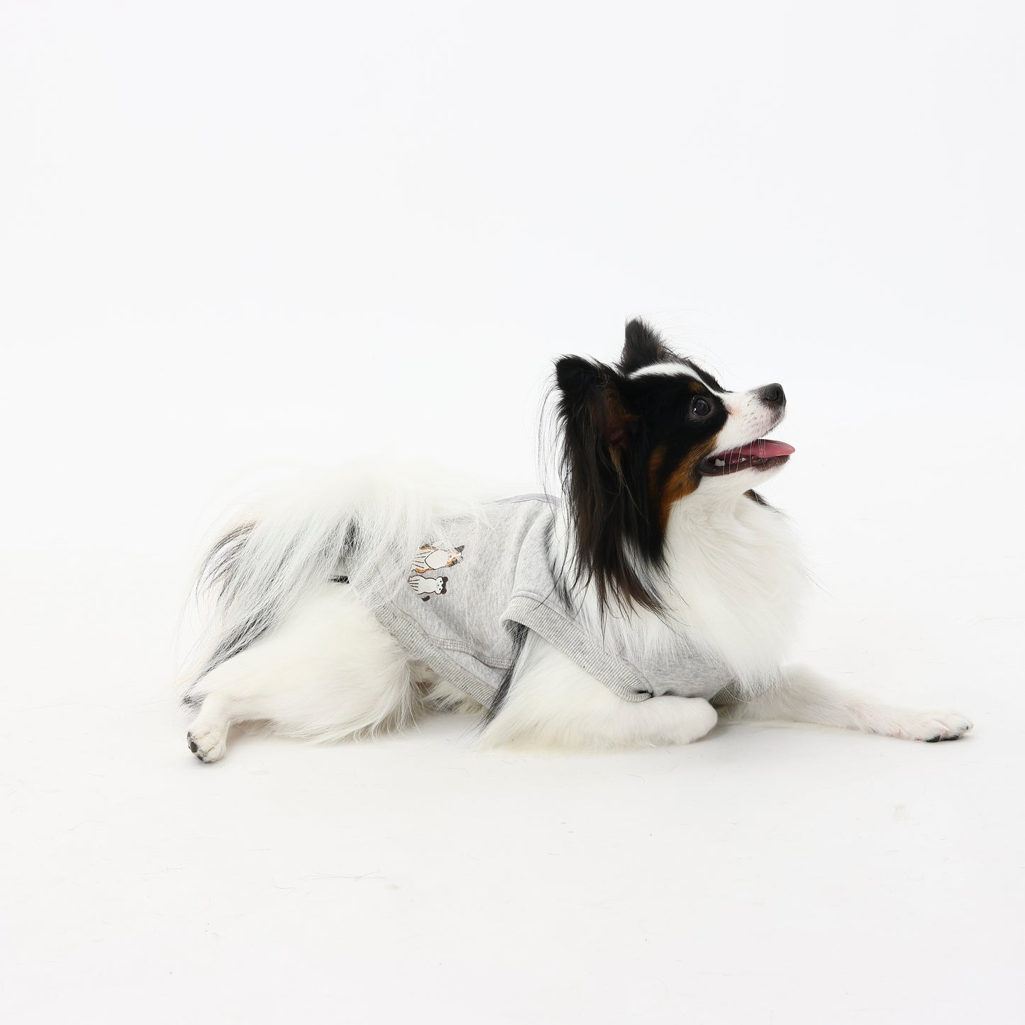 プレミアムスキンケアタンクトップ for pets
