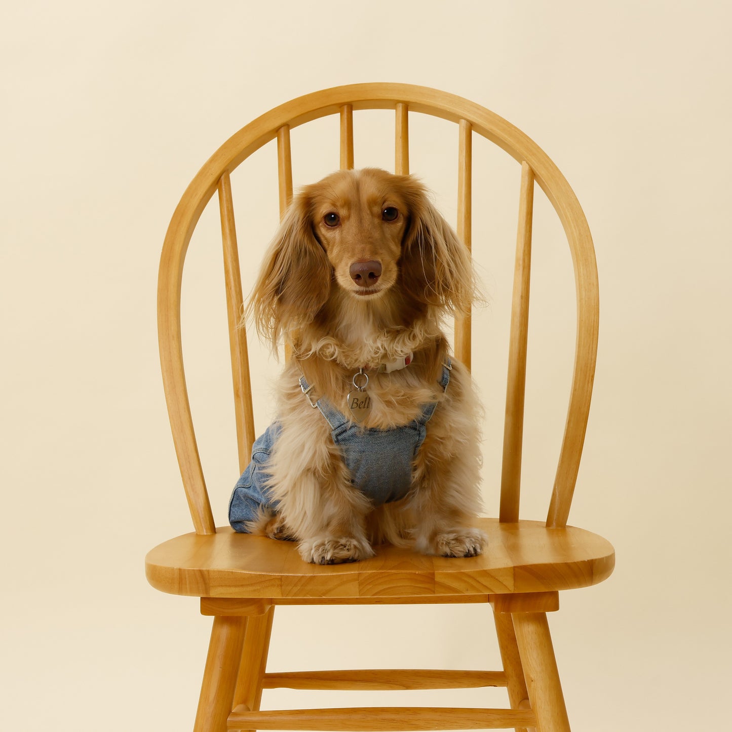 プレミアムスキンケア デニムオーバーオール for pets