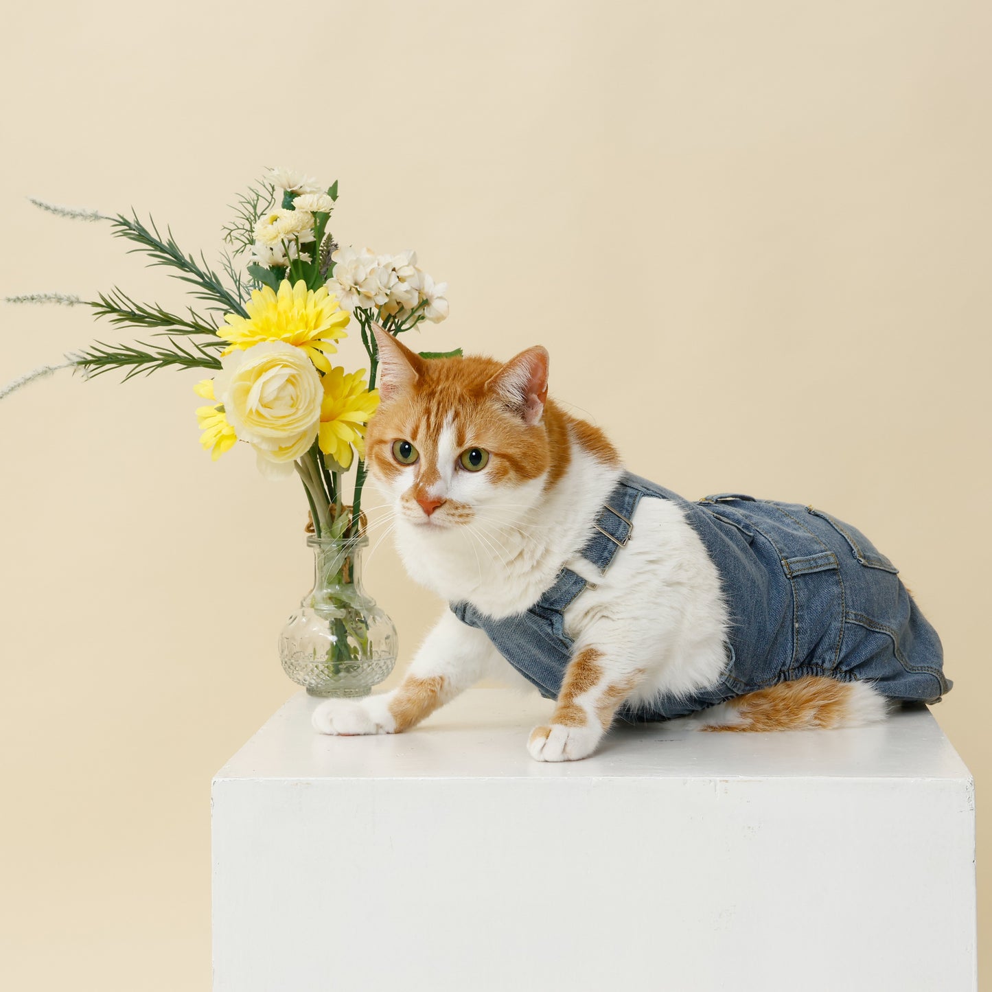 プレミアムスキンケア デニムオーバーオール for pets