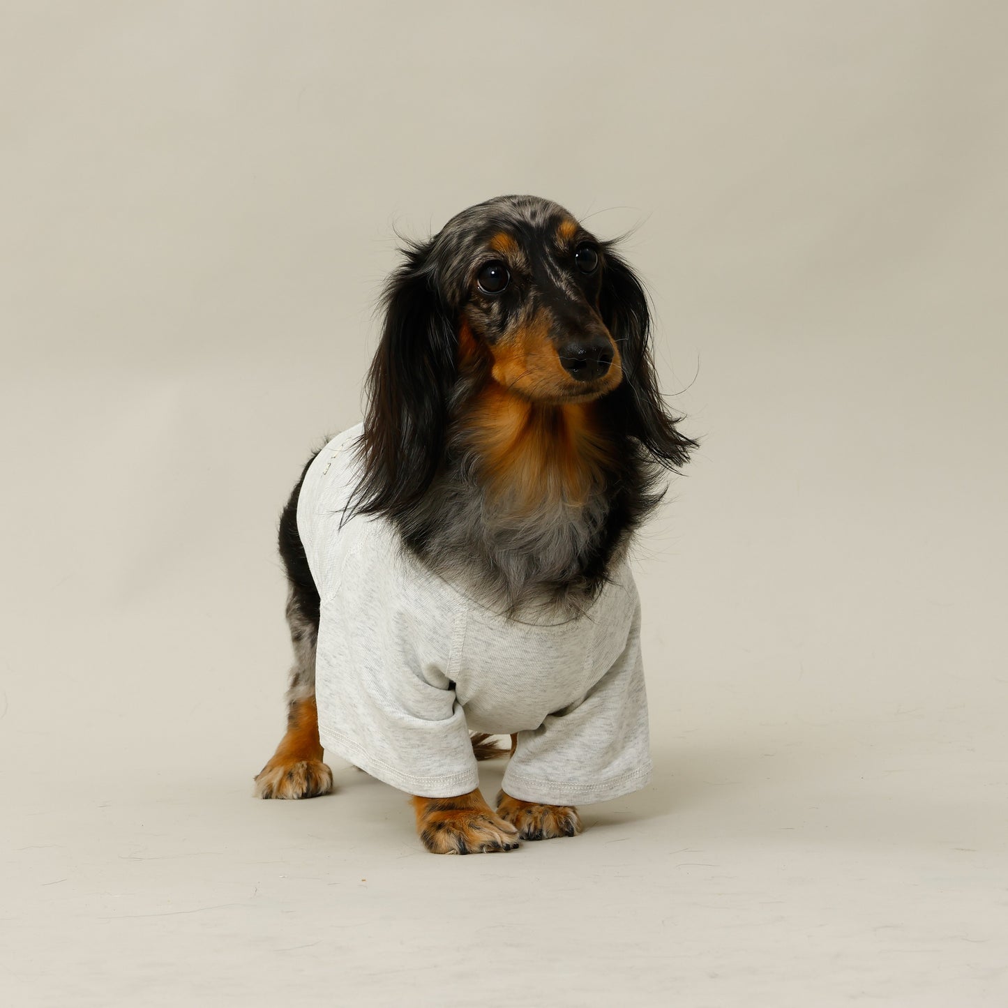 プレミアムスキンケア Tシャツ for pets