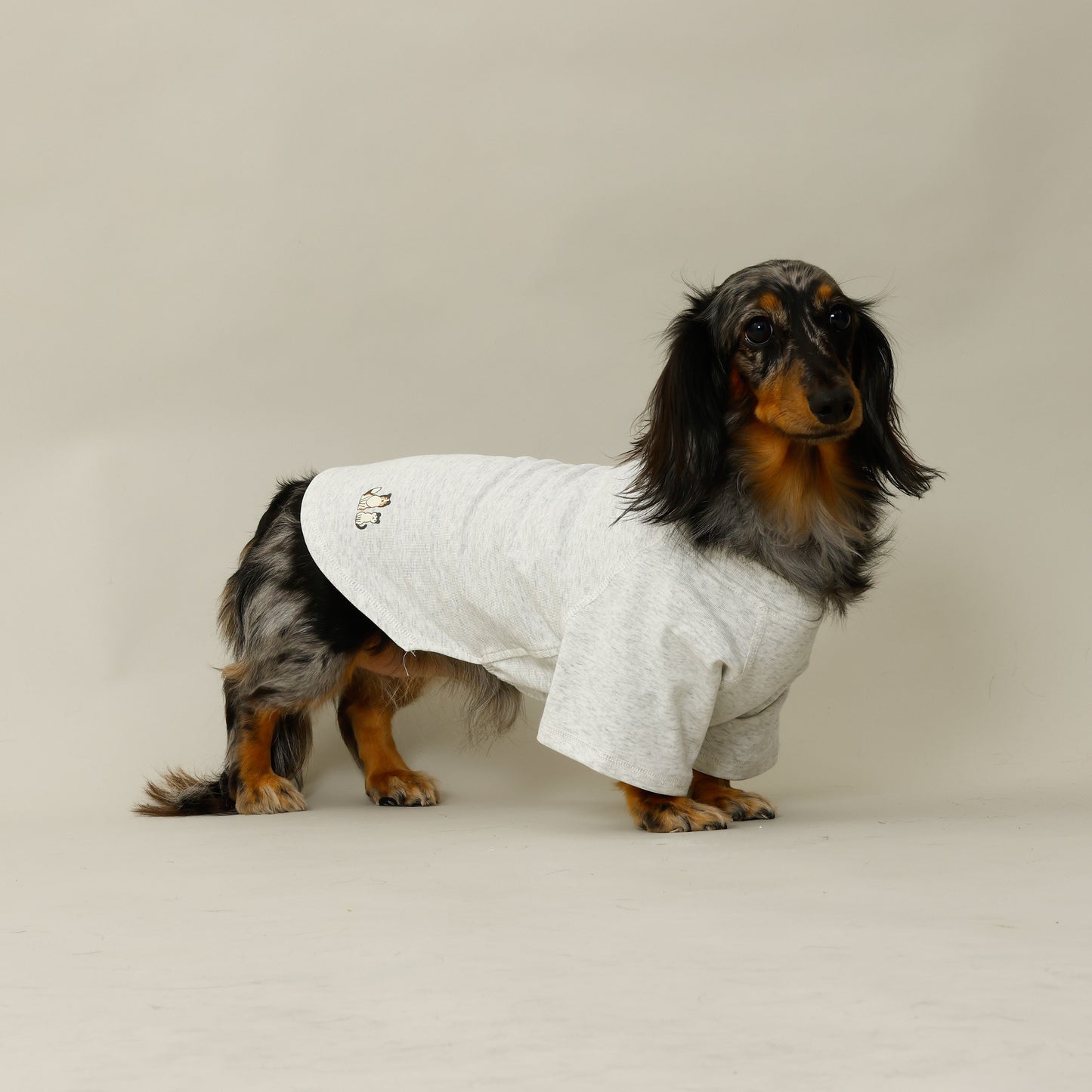 プレミアムスキンケア Tシャツ for pets