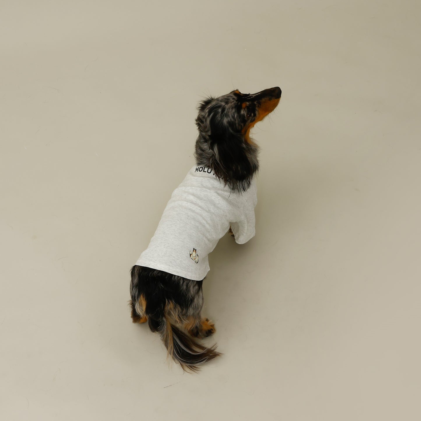 プレミアムスキンケア Tシャツ for pets