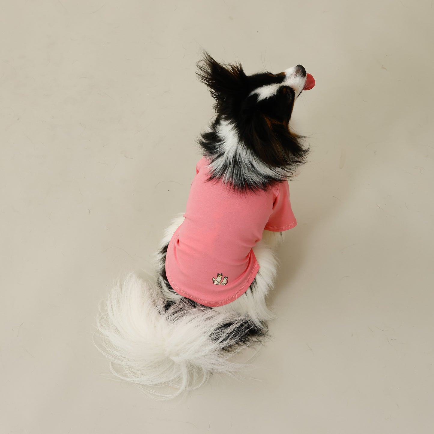 プレミアムスキンケア Tシャツ for pets