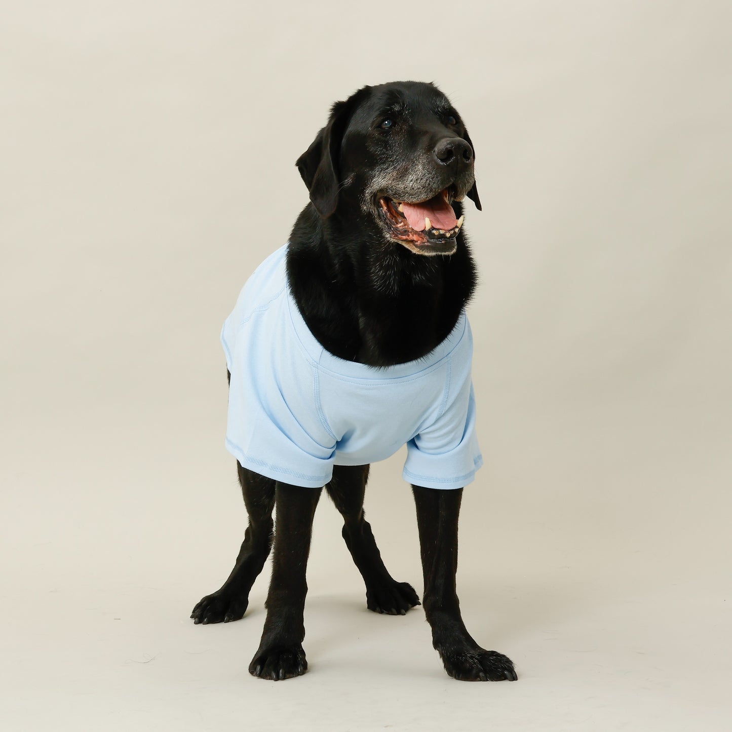プレミアムスキンケア Tシャツ for pets