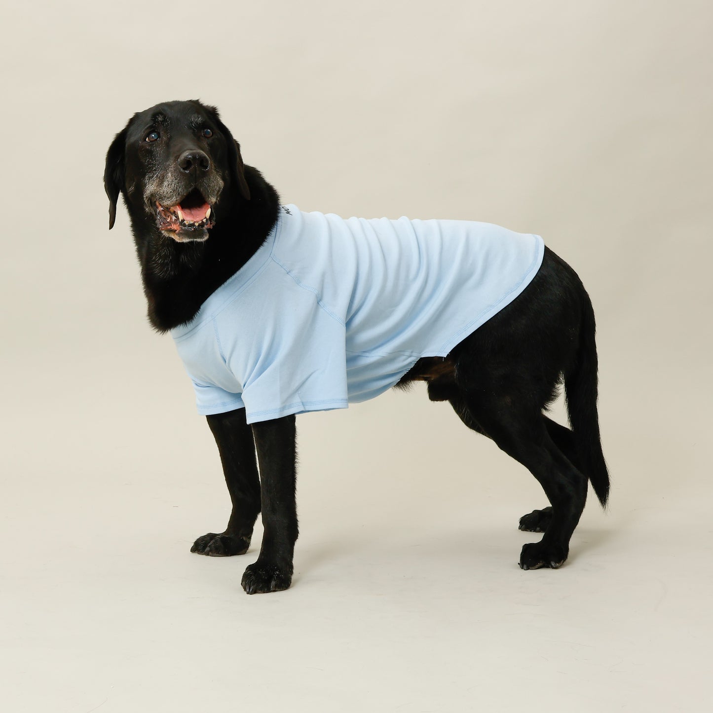 プレミアムスキンケア Tシャツ for pets