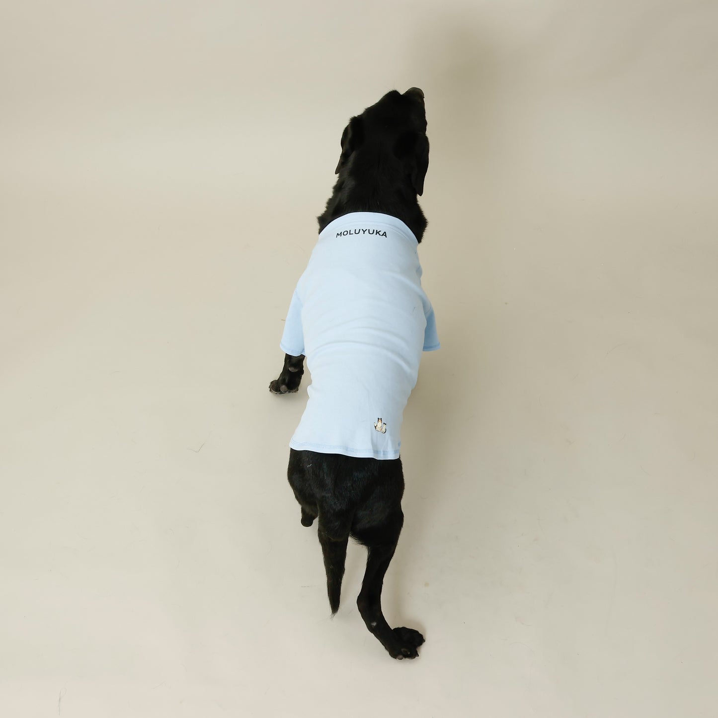 プレミアムスキンケア Tシャツ for pets