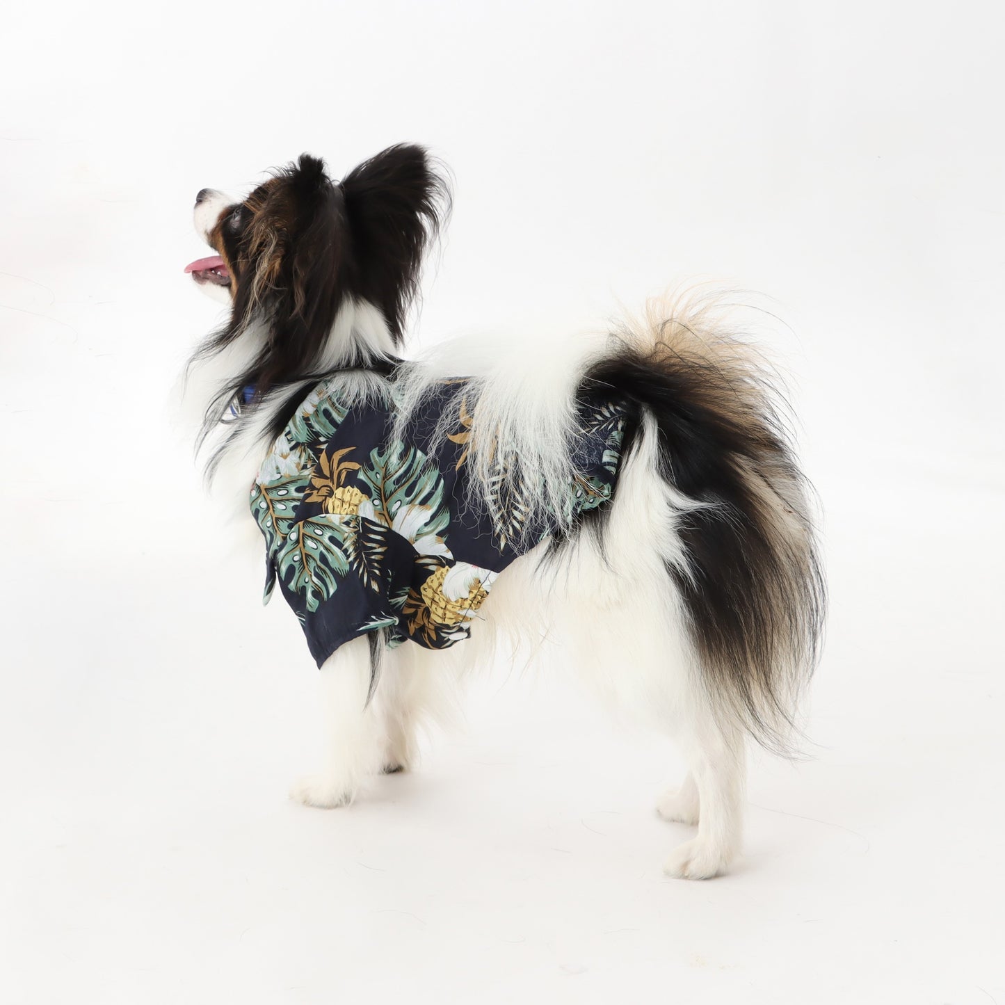 アロハシャツ for pets
