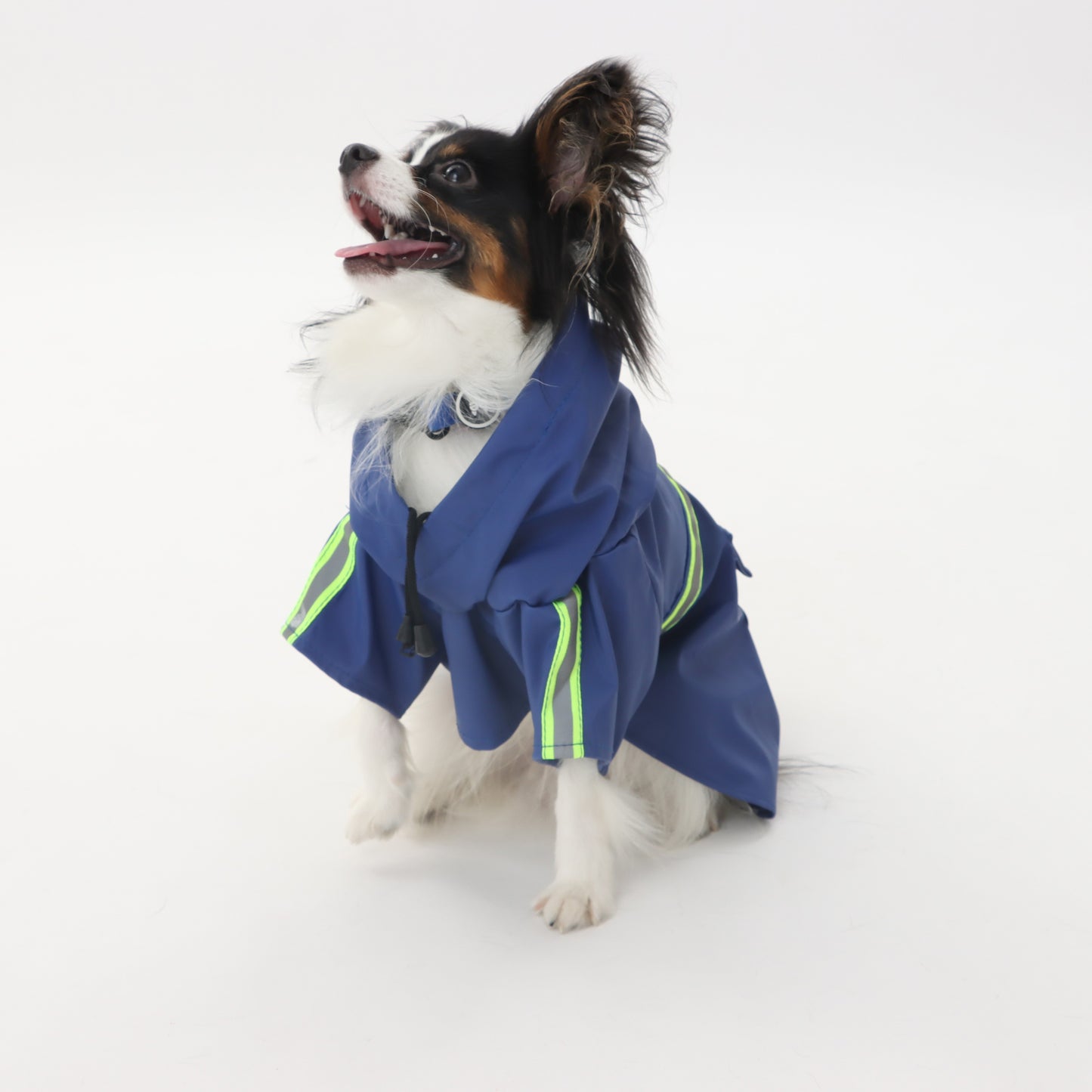 反射板付き レインコート for pets