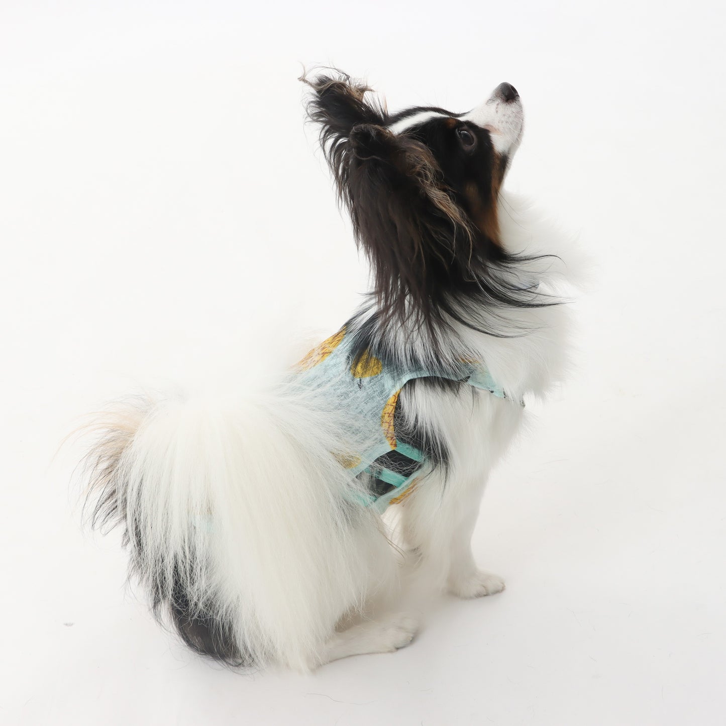 メッシュタンクトップ for pets