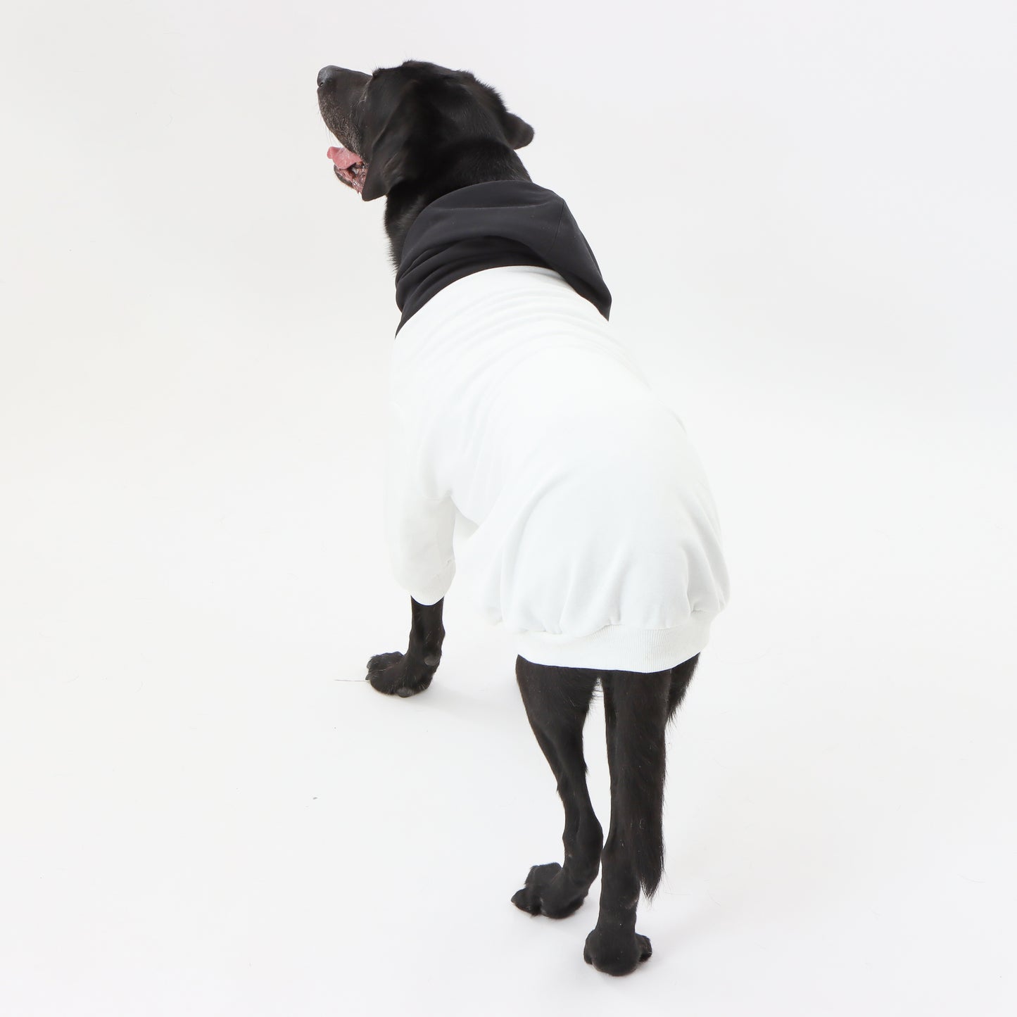 MOLUYUKA バイカラーパーカー for pets