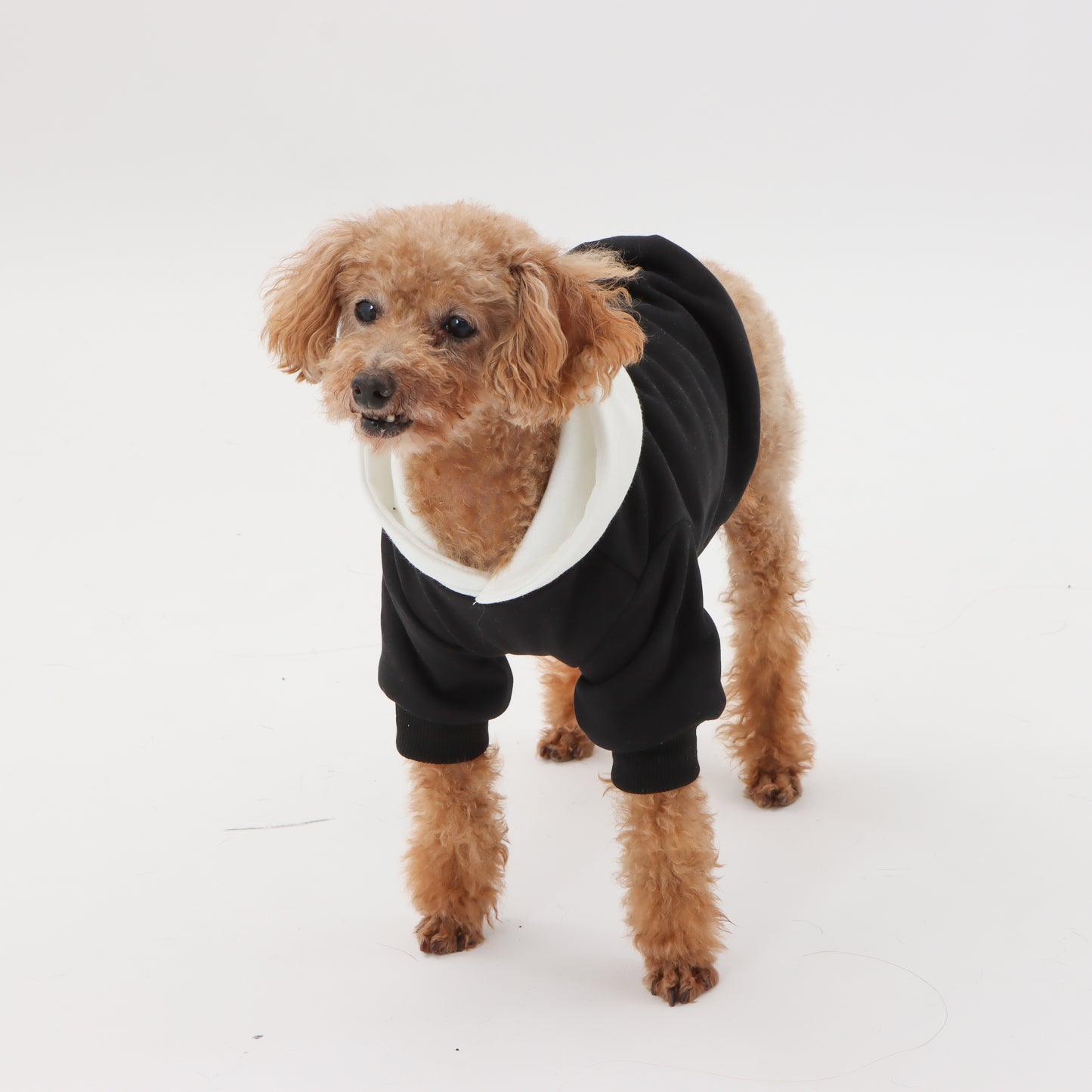 MOLUYUKA バイカラーパーカー for pets