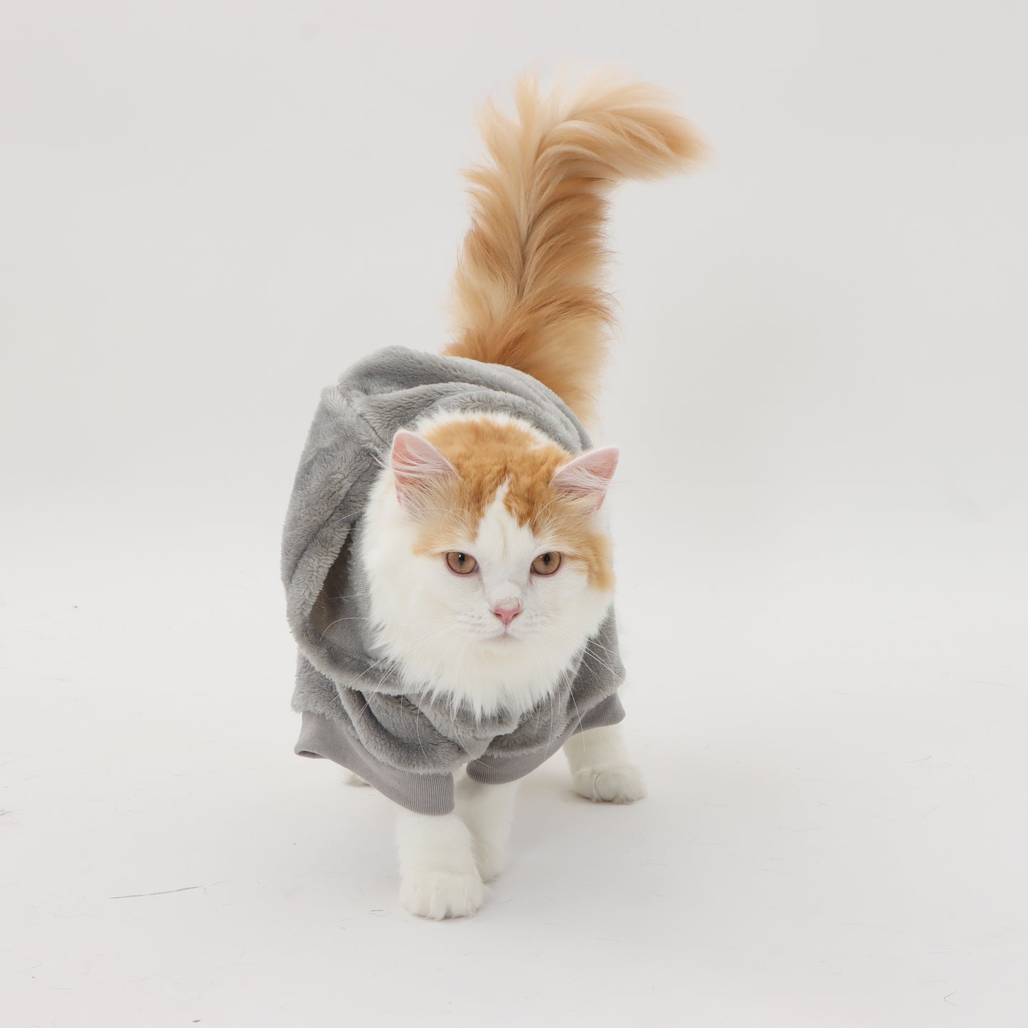 MOLUYUKA もこもこガウン for pets