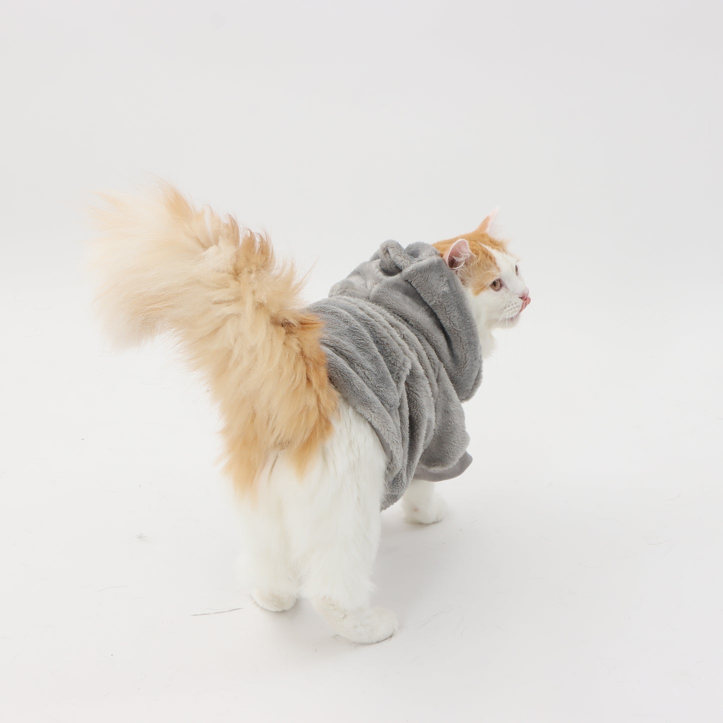 MOLUYUKA もこもこガウン for pets
