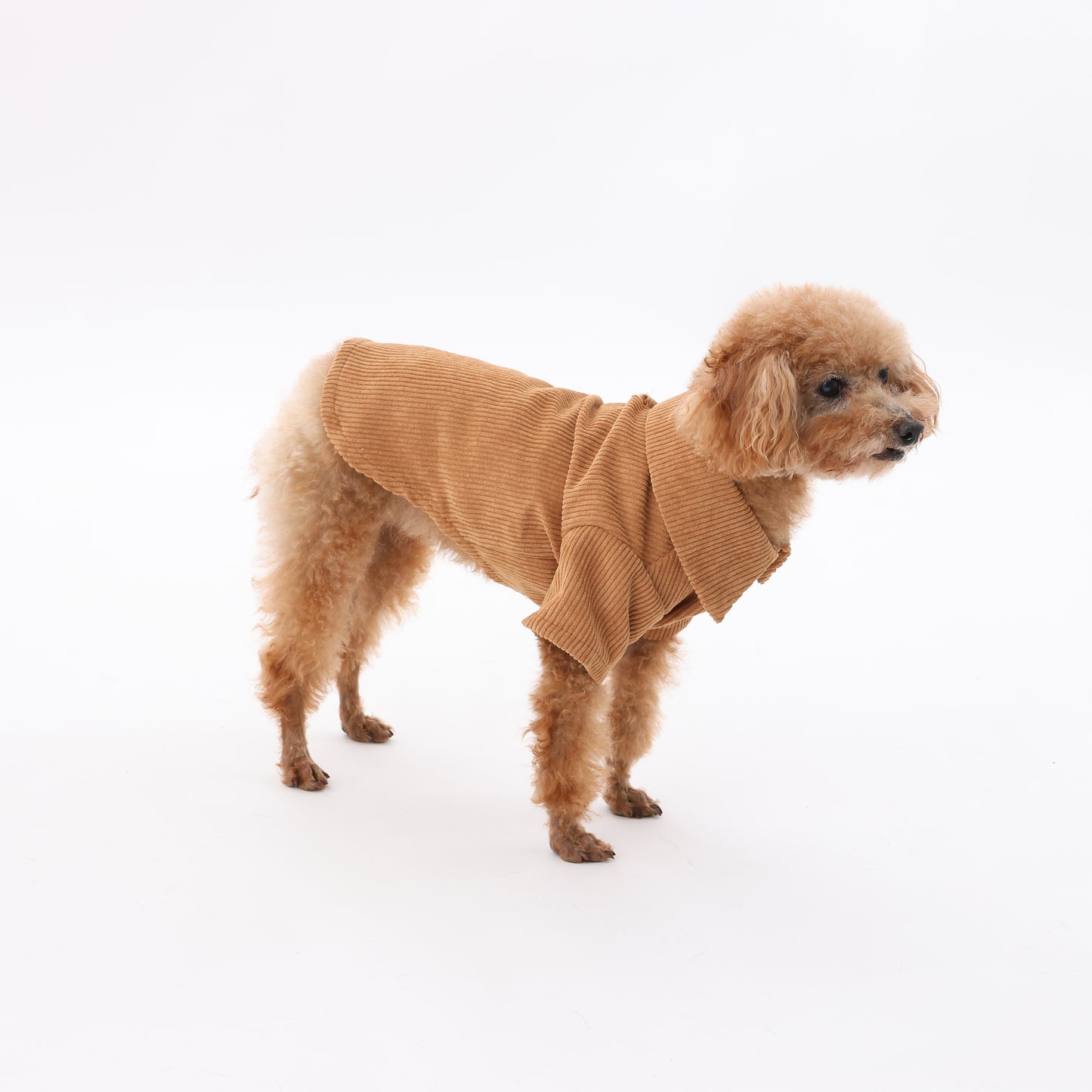 MOLUYUKA コーデュロイシャツ for pets