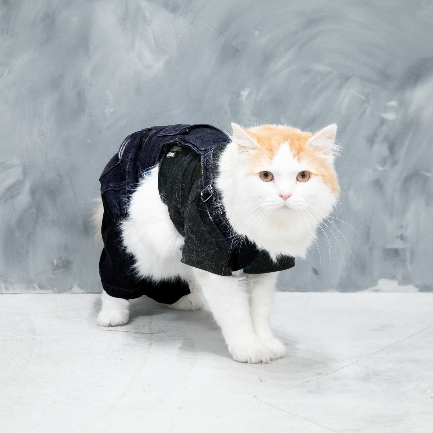 プレミアムスキンケア デニムオーバーオール for pets