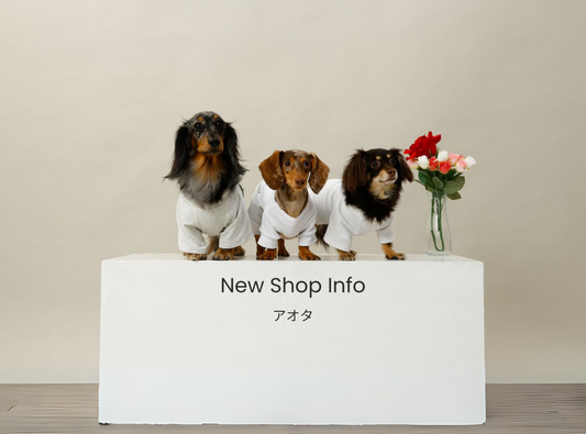 New Shop Info　アオタ
