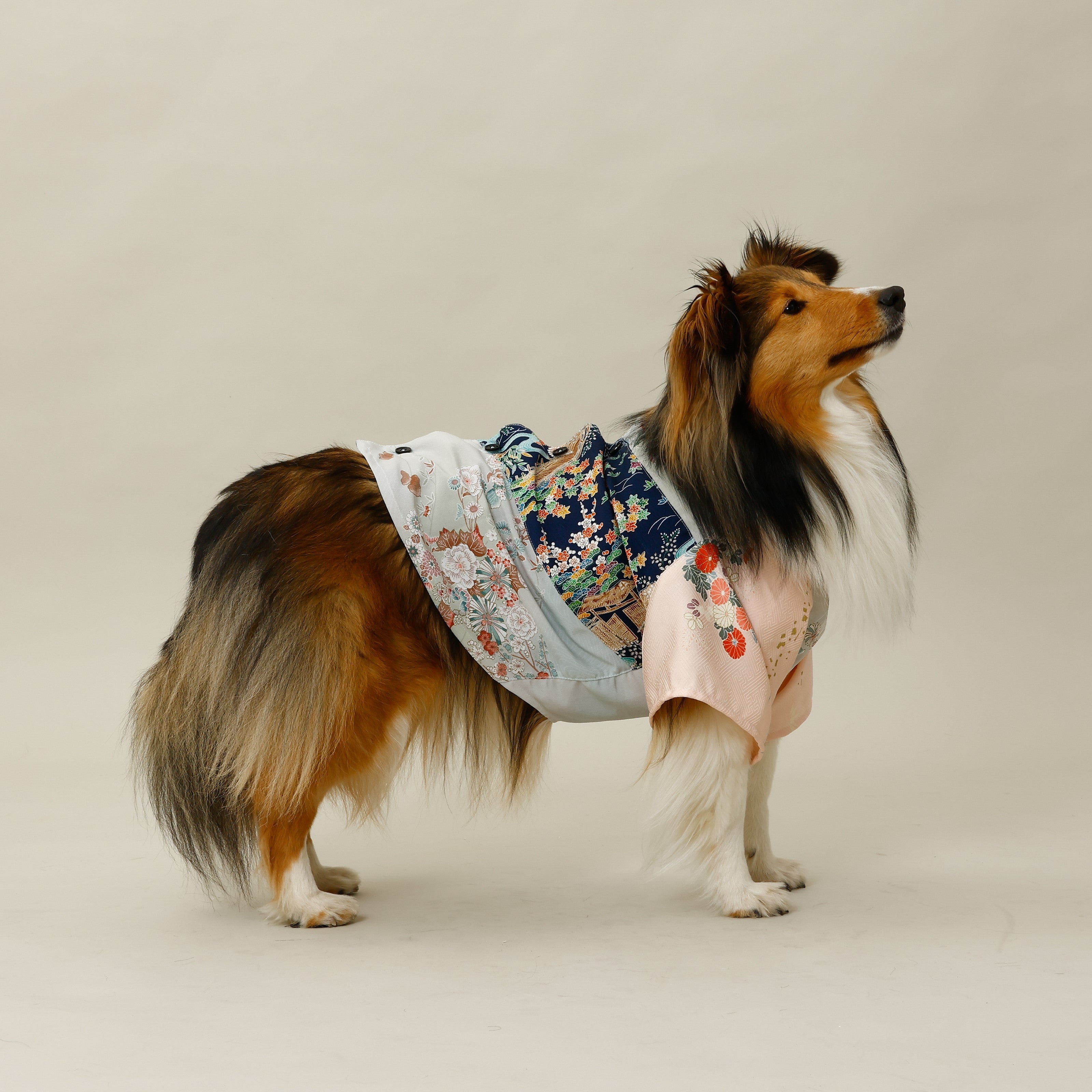 MOLUYUKA Online Shop