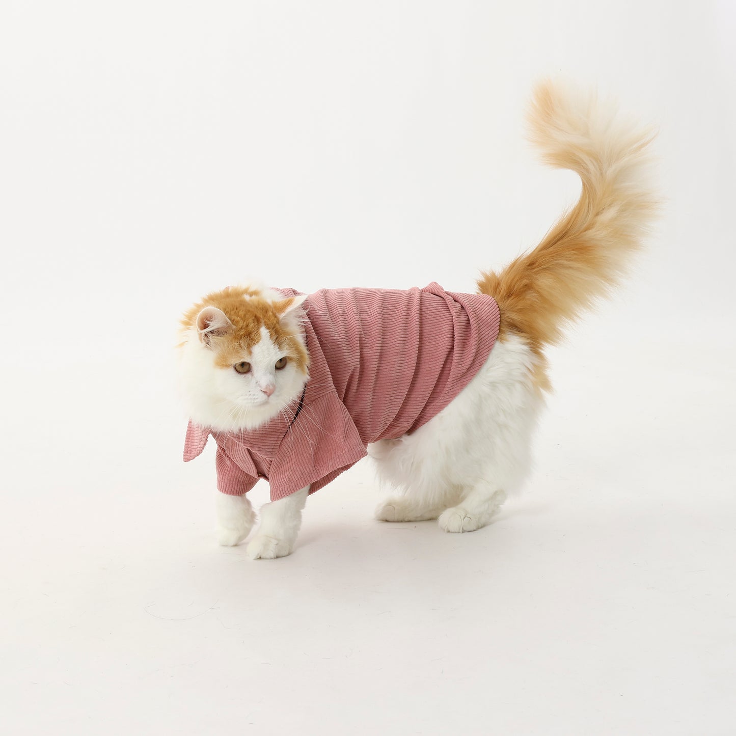 MOLUYUKA Corduroy Shirt for pets