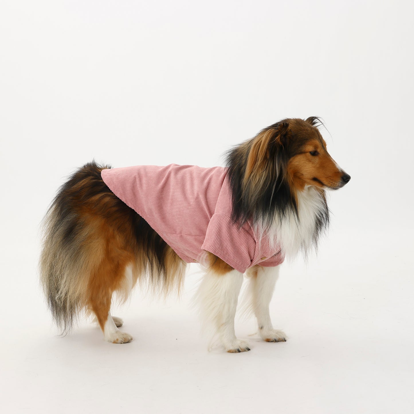 MOLUYUKA Corduroy Shirt for pets