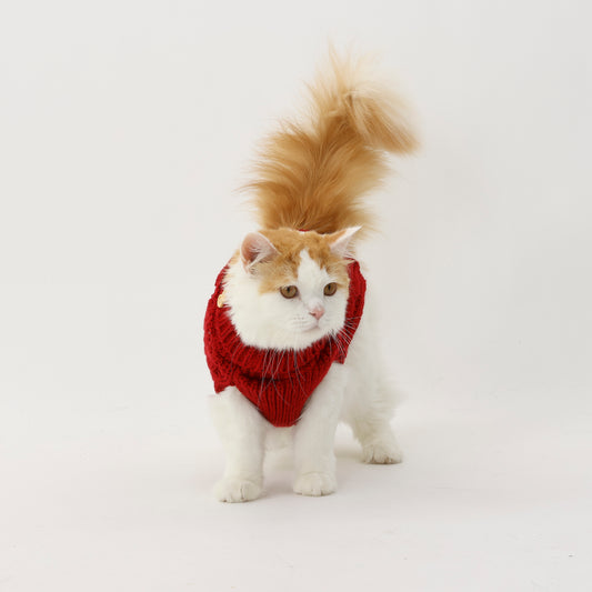 Knitted sweaters for pets