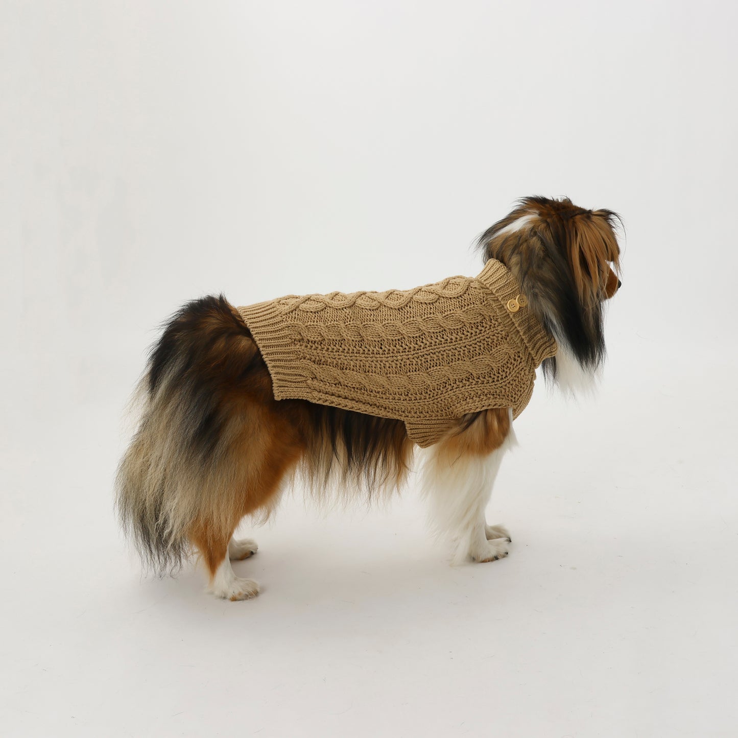 Knitted sweaters for pets