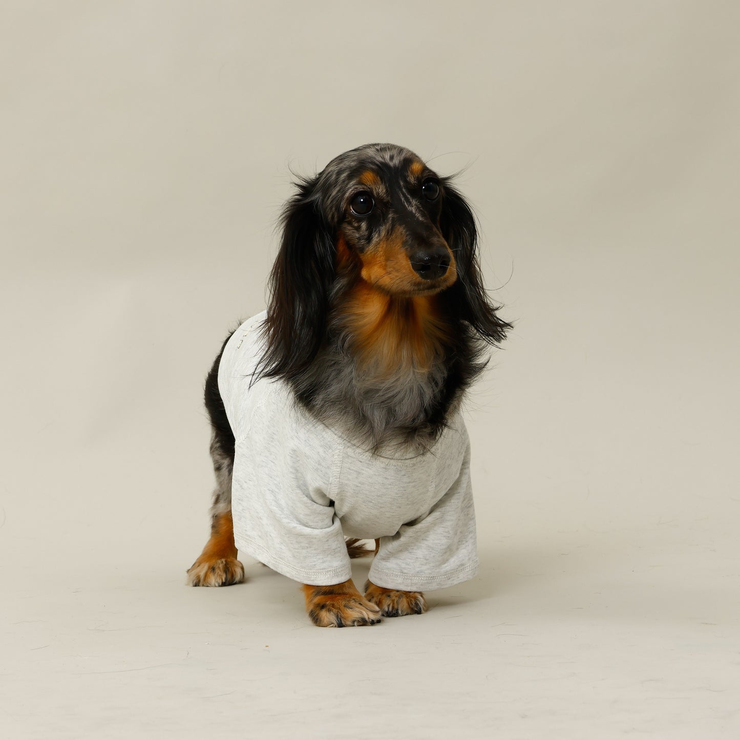 Premium Skin Care T-shirt for pets