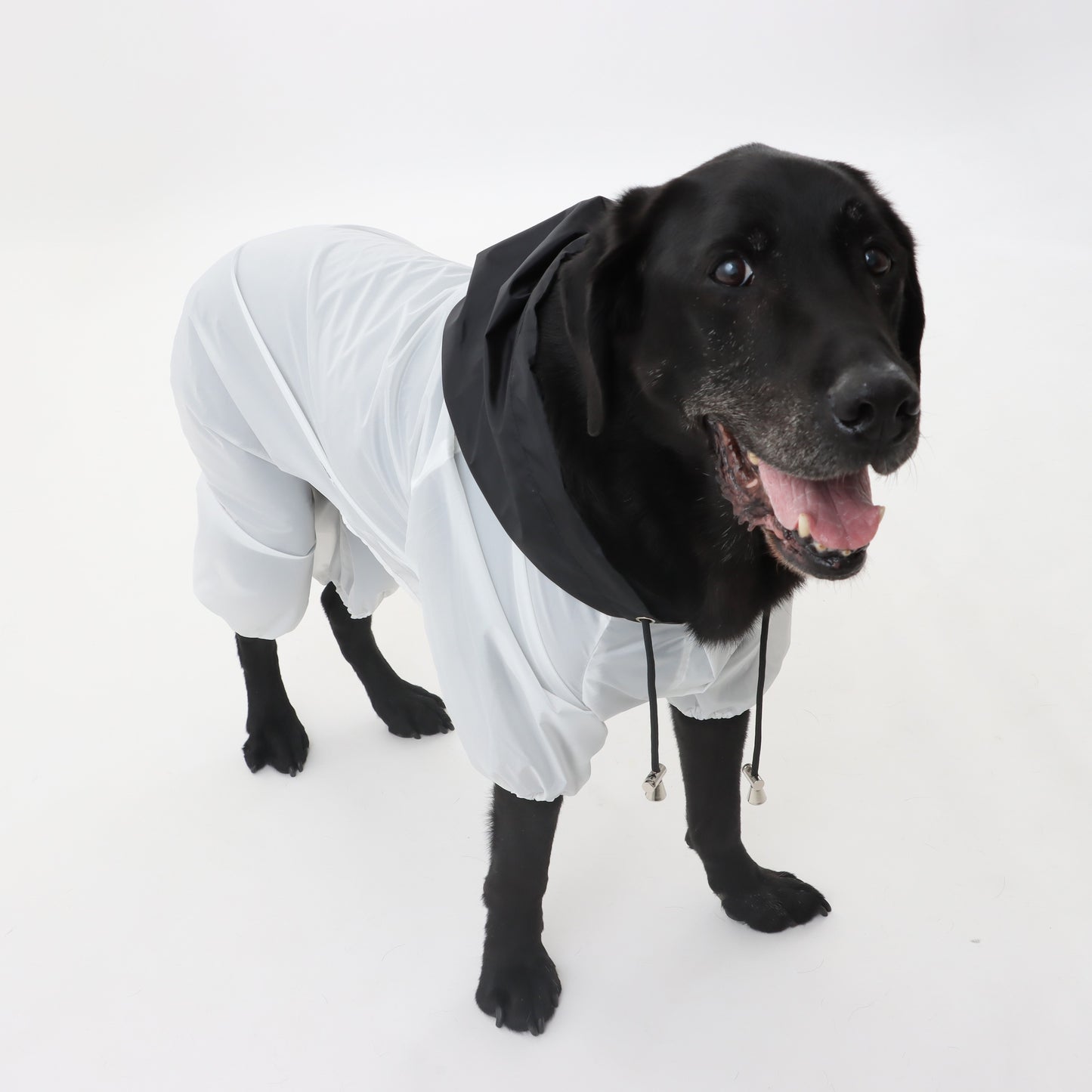 MOLUYUKA Raincoat for pets